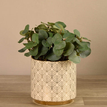 Plants-Artificial Potted Eucalyptus-Bloomr