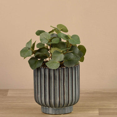 Plants-Artificial Potted Eucalyptus-Bloomr