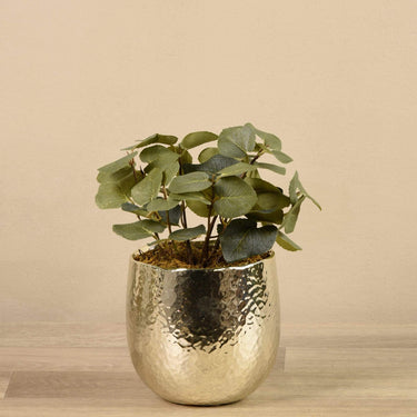 Plants-Artificial Potted Eucalyptus-Bloomr