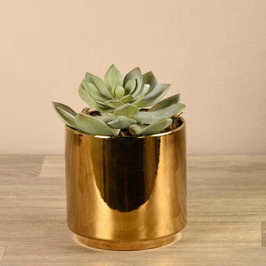 Plants-Artificial Succulent in Gold Pot-Bloomr