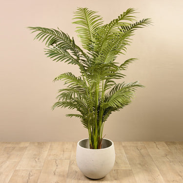 Trees-Artificial Areca Palm 180cm-Bloomr