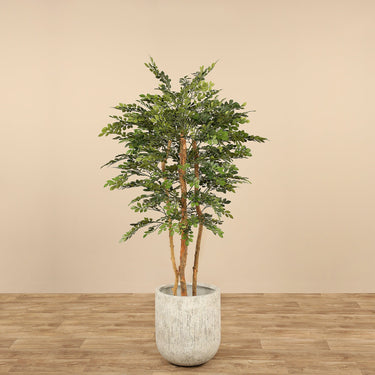 Trees-Artificial Acacia Tree <br> 150cm-Bloomr