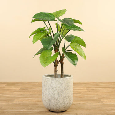 Trees-Artificial Alocasia Tree<br> 100cm-Bloomr