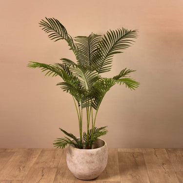 Trees-Artificial Areca Palm <br> 155cm-Bloomr