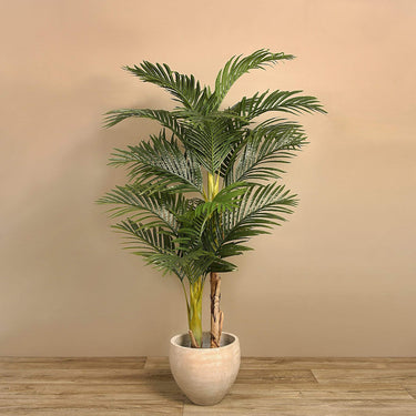 Trees-Artificial Areca Palm 165cm-Bloomr