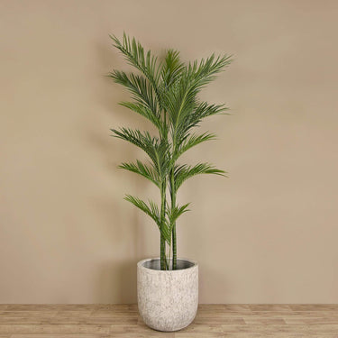 Trees-Artificial Areca Palm 225cm-Bloomr