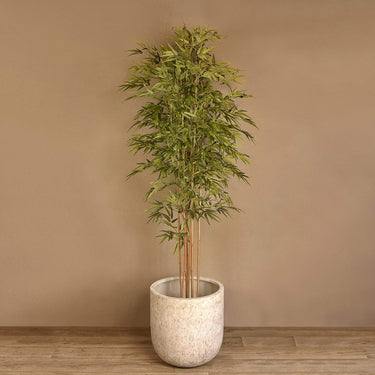 Trees-Artificial Bamboo Tree 210cm-Bloomr