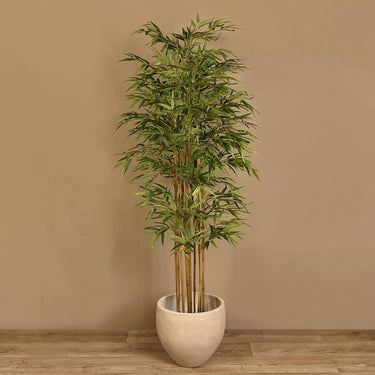 Trees-Artificial Bamboo Tree <br> 180cm-Bloomr