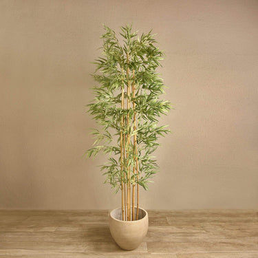 Trees-Artificial Bamboo Tree 210cm-Bloomr