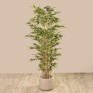 Trees-Artificial Bamboo Tree 210cm-Bloomr
