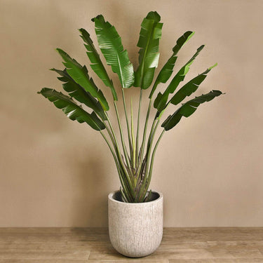 Trees-Artificial Banana Tree 210cm-Bloomr