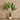 Trees-Artificial Banana Tree 180cm-Bloomr