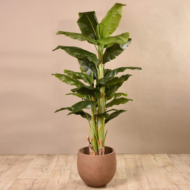 Trees-Artificial Banana Tree 180cm-Bloomr