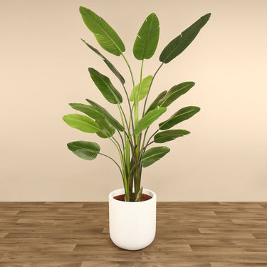 Trees-Artificial Banana Tree 240cm-Bloomr