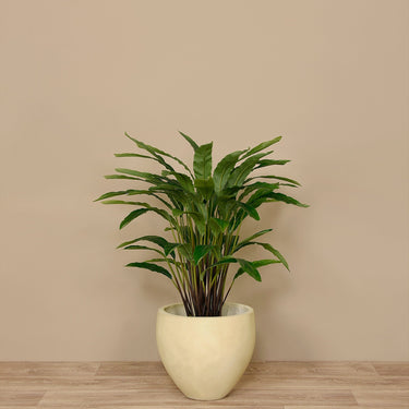 Trees-Artificial Calathea Tree 60cm-Bloomr