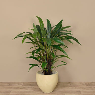 Trees-Artificial Calathea Tree 90cm-Bloomr