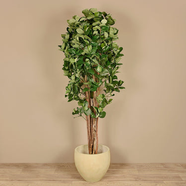 Trees-Artificial Clusia Tree <br> 180cm-Bloomr