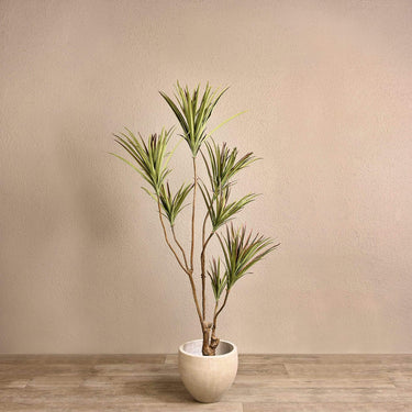 Trees-Artificial Draecena Tree <br> 155cm-Bloomr