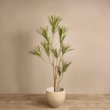 Trees-Artificial Draecena Tree 180cm-Bloomr