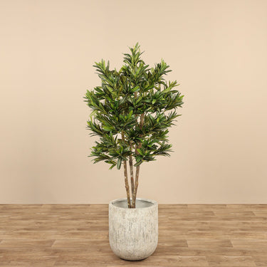 Trees-Artificial Draecena Reflexa <br>150cm-Bloomr