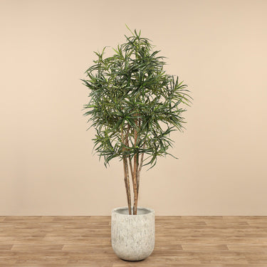 Trees-Artificial Draecena Reflexa <br> 180cm-Bloomr