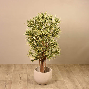 Trees-Artificial Draecena Reflexa <br> 120cm-Bloomr