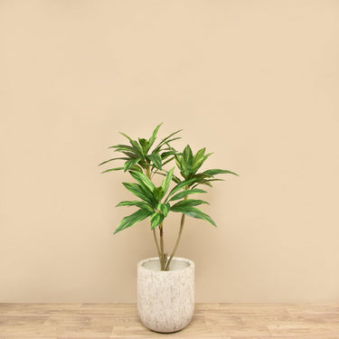 Trees-Artificial Draecena Tree 120cm-Bloomr