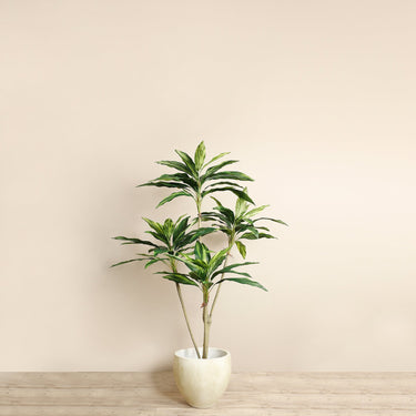 Trees-Artificial Draecena Tree 150cm-Bloomr