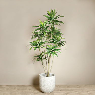 Trees-Artificial Draecena Tree 240cm-Bloomr