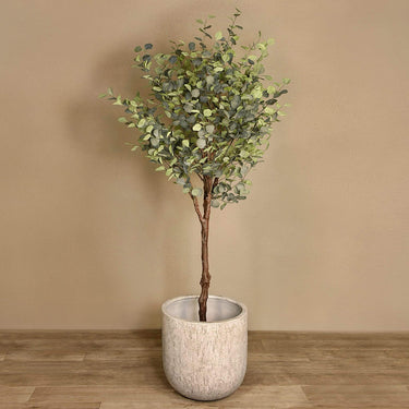 Trees-Artificial Eucalyptus 240cm-Bloomr