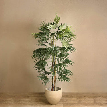 Trees-Artificial Fan Palm <br> 180cm-Bloomr