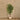 Trees-Artificial Ficus Benjamin Tree 180cm-Bloomr