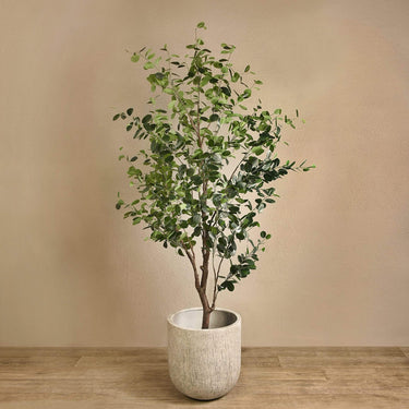 Trees-Artificial Ficus Tree <br> 250cm Discontinued-Bloomr