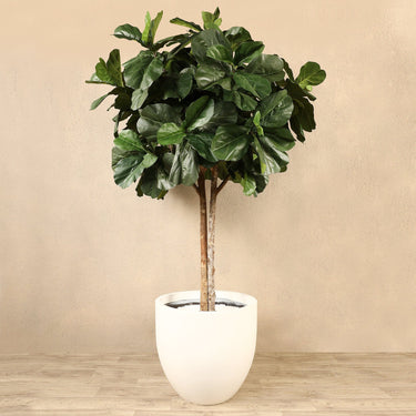 Trees-Artificial Fiddle Leaf Tree <br> 270cm-Bloomr