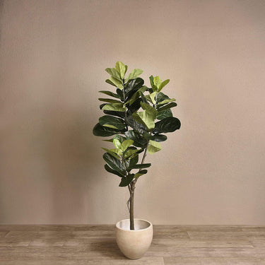 Trees-Artificial Fiddle Tree 150cm-Bloomr
