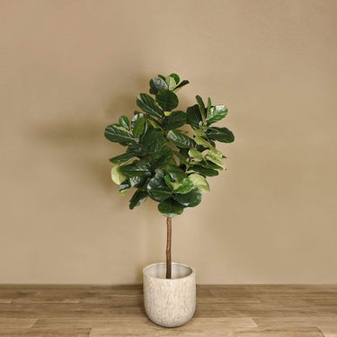 Trees-Artificial Fiddle Tree <br> 210cm-Bloomr
