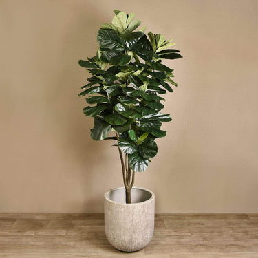 Trees-Artificial Fiddle Tree <br> 240cm-Bloomr