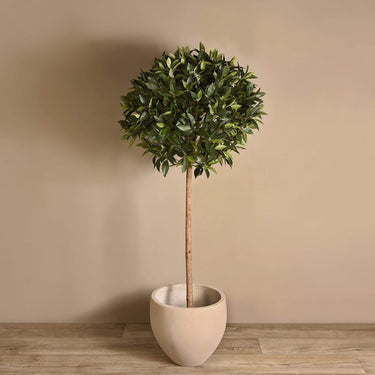 Trees-Artificial Laurel Tree <br> 150cm-Bloomr