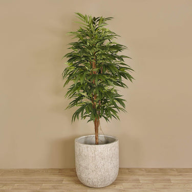 Trees.-Artificial Longifolia Tree 180cm-Bloomr