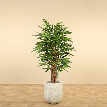 Trees-Artificial Longifolia Tree 150cm-Bloomr