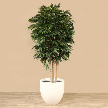 Trees-Artificial Longifolia Tree 300cm-Bloomr