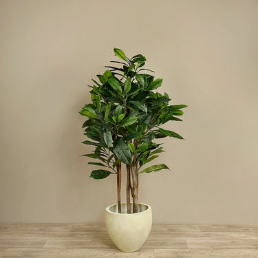 Trees-Artificial Magnolia Tree 120cm-Bloomr