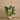 Trees-Artificial Monstera 110cm-Bloomr