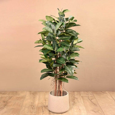 Trees-Artificial Rubber Tree <br> 150cm-Bloomr