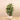 Trees-Artificial Rubber Tree 130cm-Bloomr