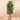 Trees-Artificial Rubber Tree 180cm-Bloomr