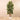 Trees-Artificial Rubber Tree 180cm-Bloomr