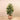Trees-Artificial Rubber Tree 130cm-Bloomr
