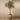 Trees-Artificial Olive Tree 200cm-Bloomr