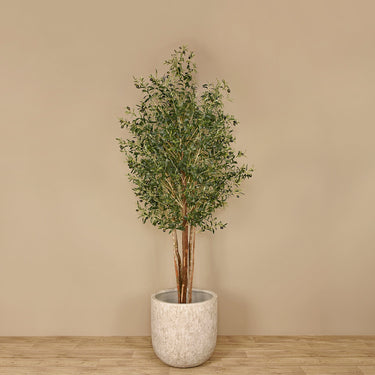 Trees-Artificial Olive Tree <br> 240cm-Bloomr